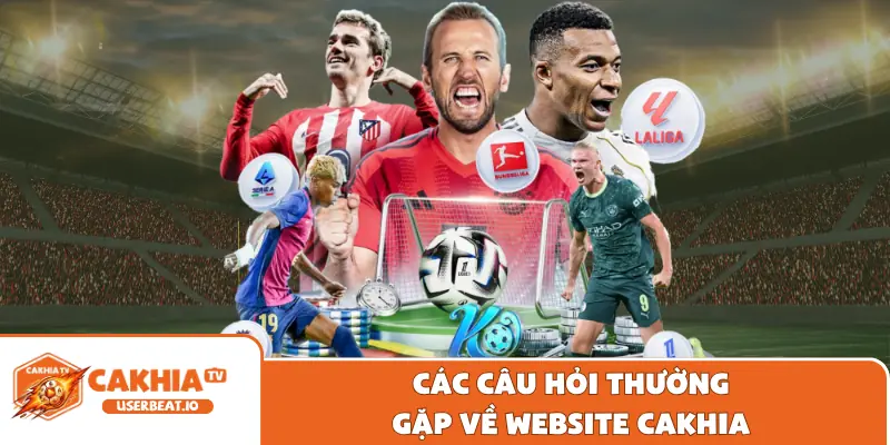 Trang Chủ 9 Các câu hỏi thường gặp về website Cakhia