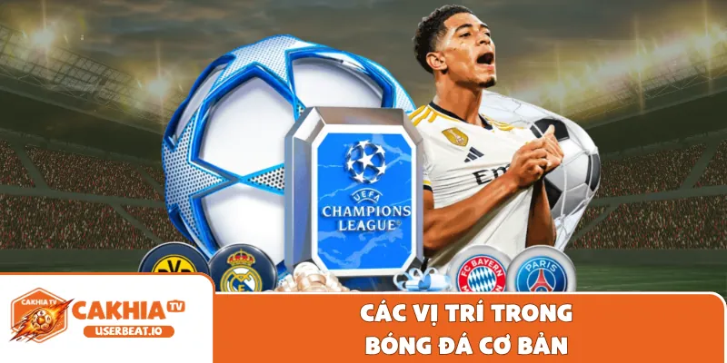 Các Vị Trí Trong Bóng Đá - Cẩm Nang Cơ Bản Cần Biết 7 Các vị trí trong bóng đá cơ bản