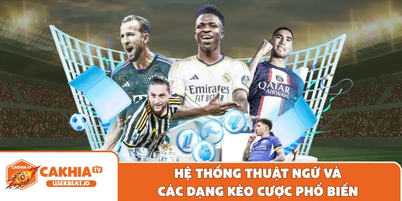 Hệ thống thuật ngữ và các dạng kèo cược phổ biến