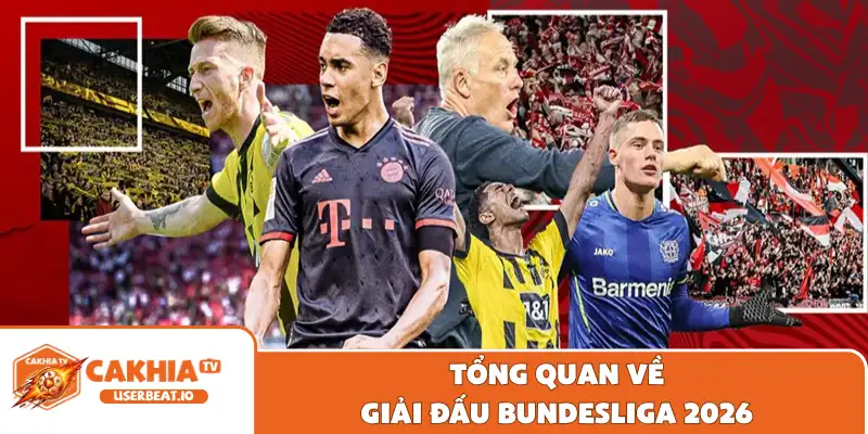 Lịch Thi Đấu Bundesliga - Cập Nhật Thông Tin Trận Đấu Mới 1 Tổng quan về giải đấu Bundesliga 2026